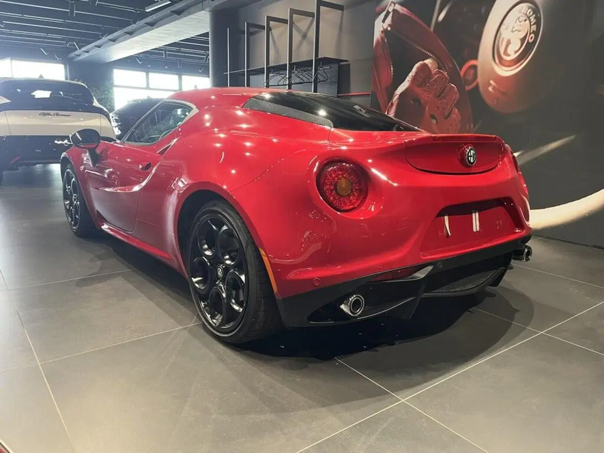 Alfa Romeo 4C Coupé usata a Sondrio (3)