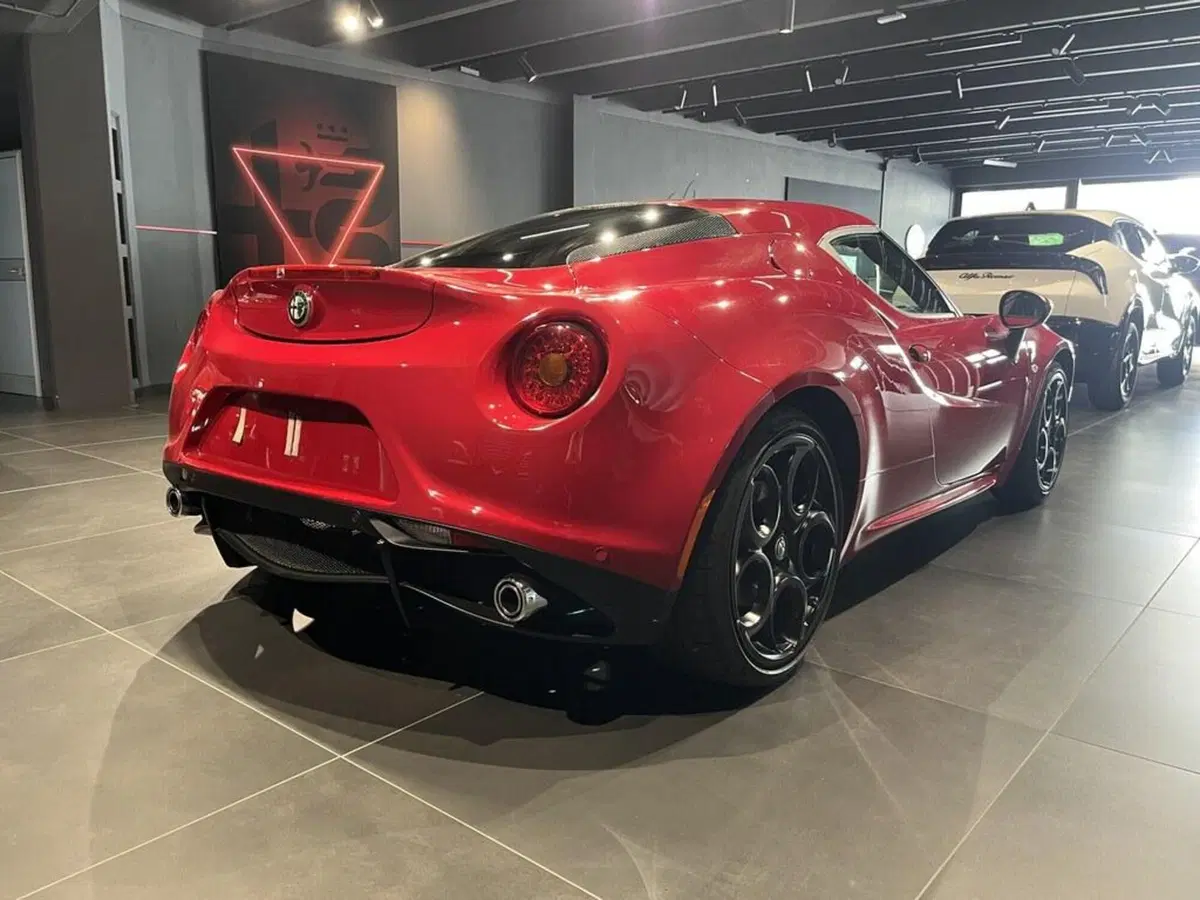 Alfa Romeo 4C Coupé usata a Sondrio (4)