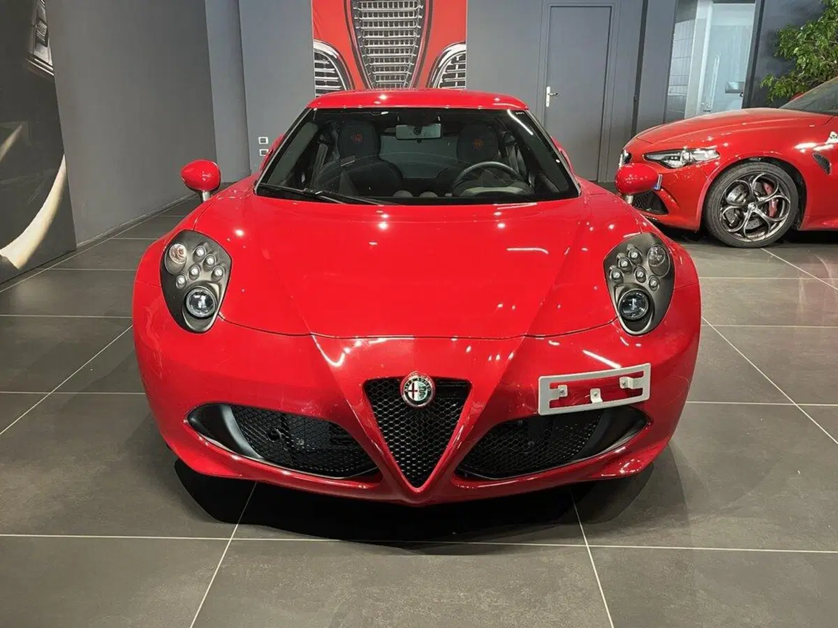 Alfa Romeo 4C Coupé usata a Sondrio (7)