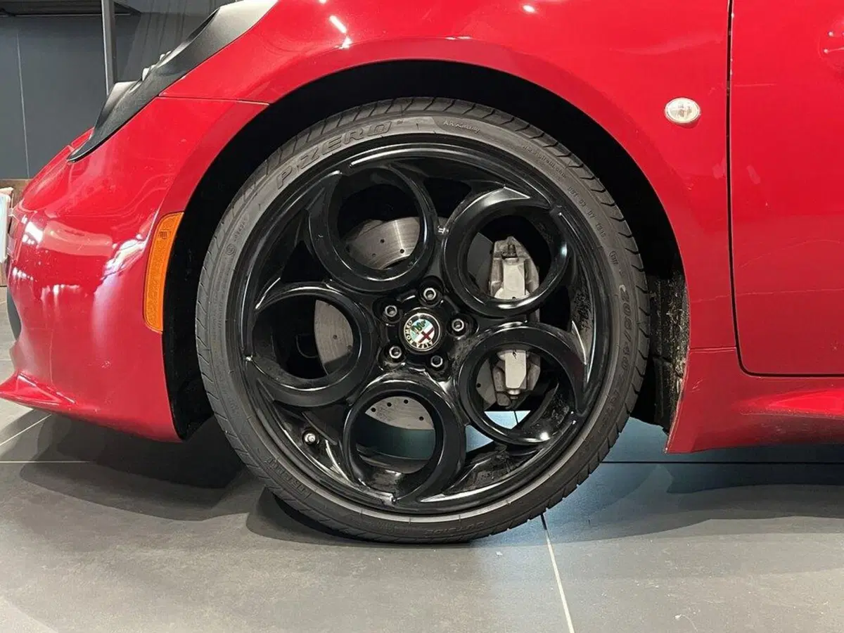 Alfa Romeo 4C Coupé usata a Sondrio (8)
