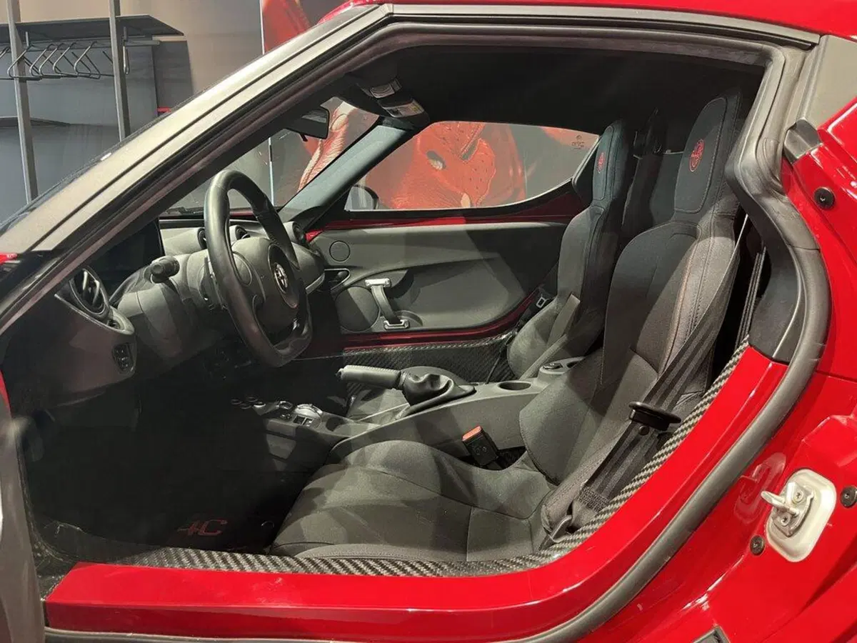 Alfa Romeo 4C Coupé usata a Sondrio (9)