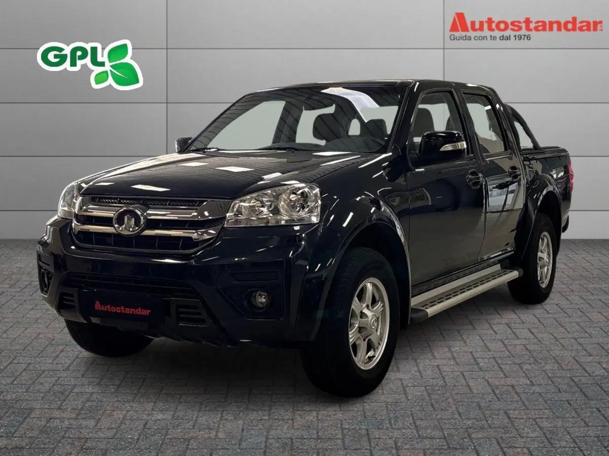 Great Wall Steed Pick-up usata a Torino