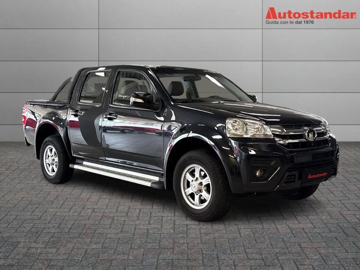 Great Wall Steed Pick-up usata a Torino (3)