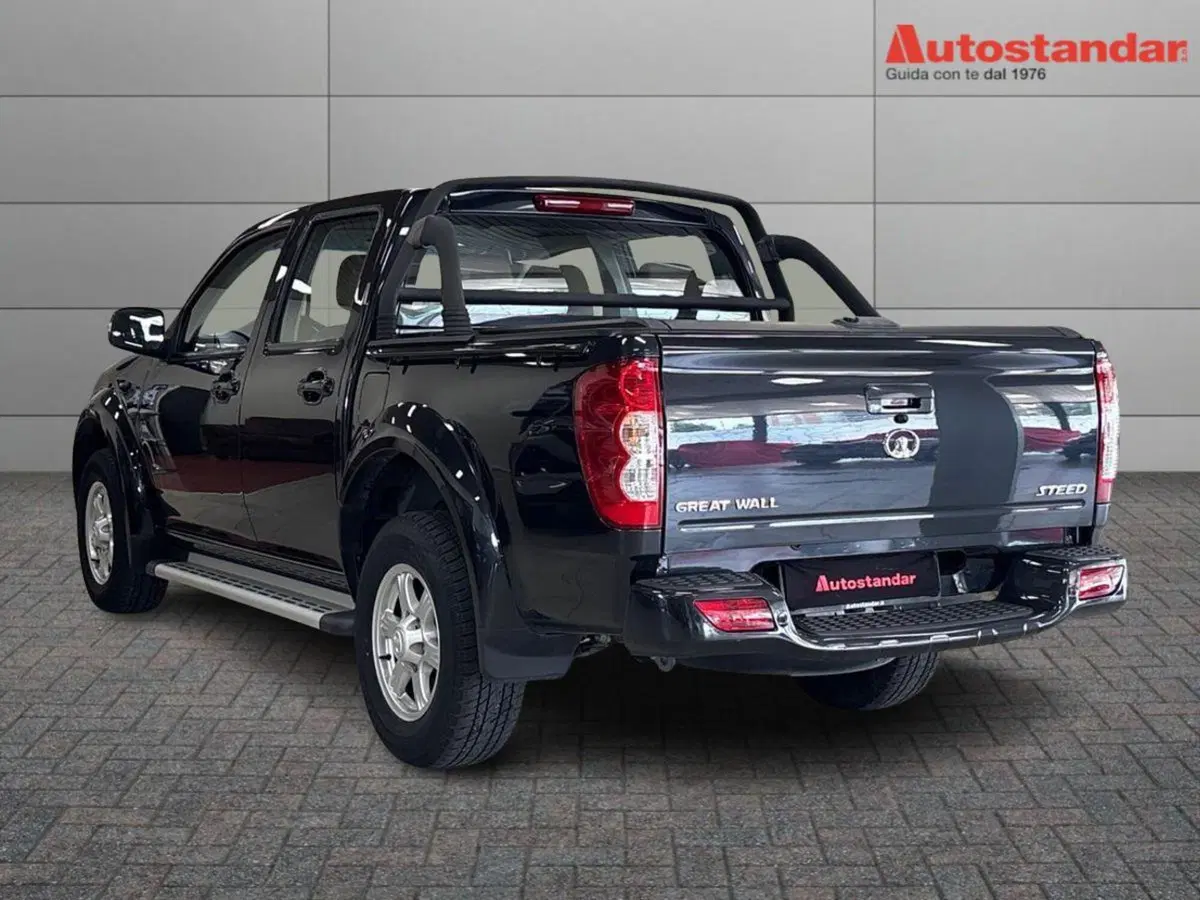 Great Wall Steed Pick-up usata a Torino (4)