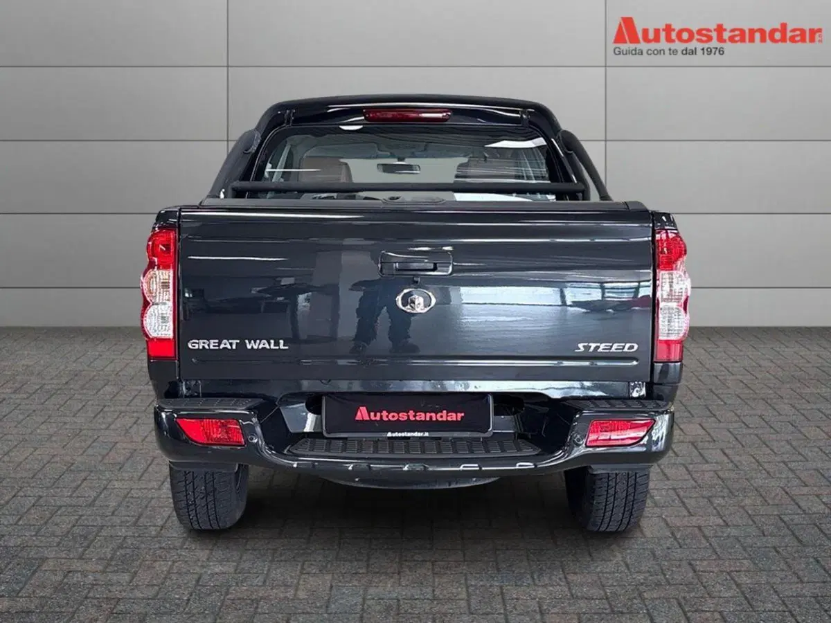 Great Wall Steed Pick-up usata a Torino (5)