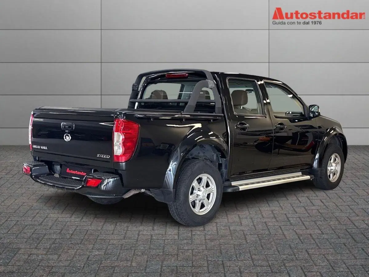 Great Wall Steed Pick-up usata a Torino (6)