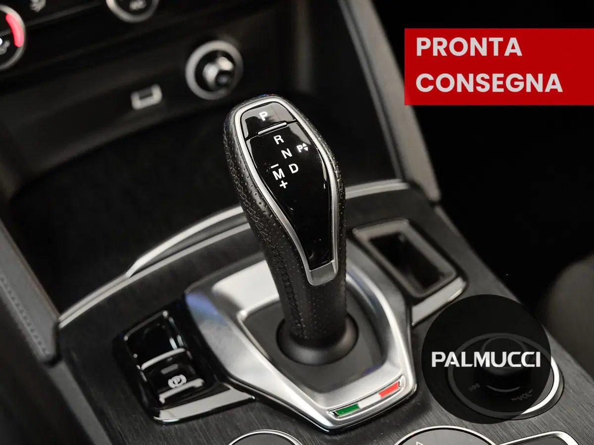 Alfa Romeo Stelvio usata a Prato (13)