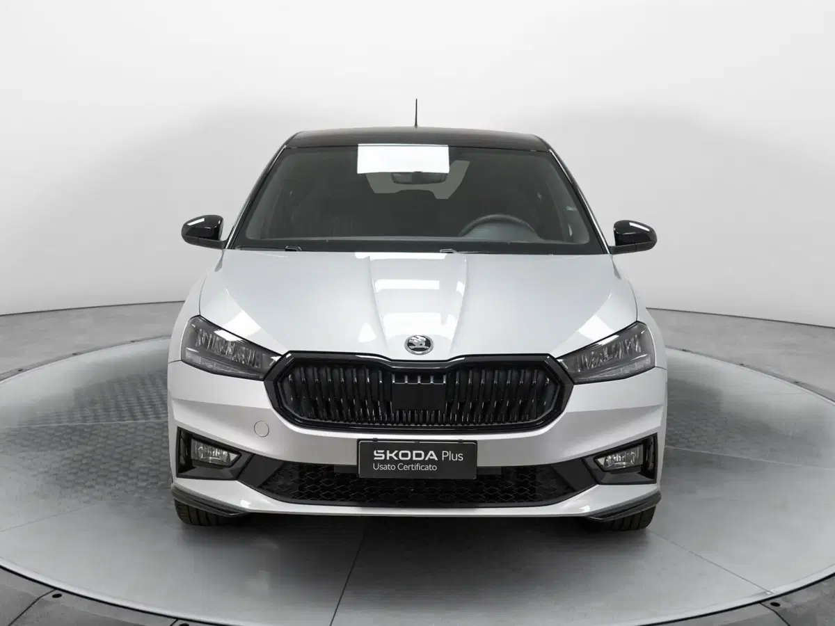 Skoda Fabia usata a Varese (2)