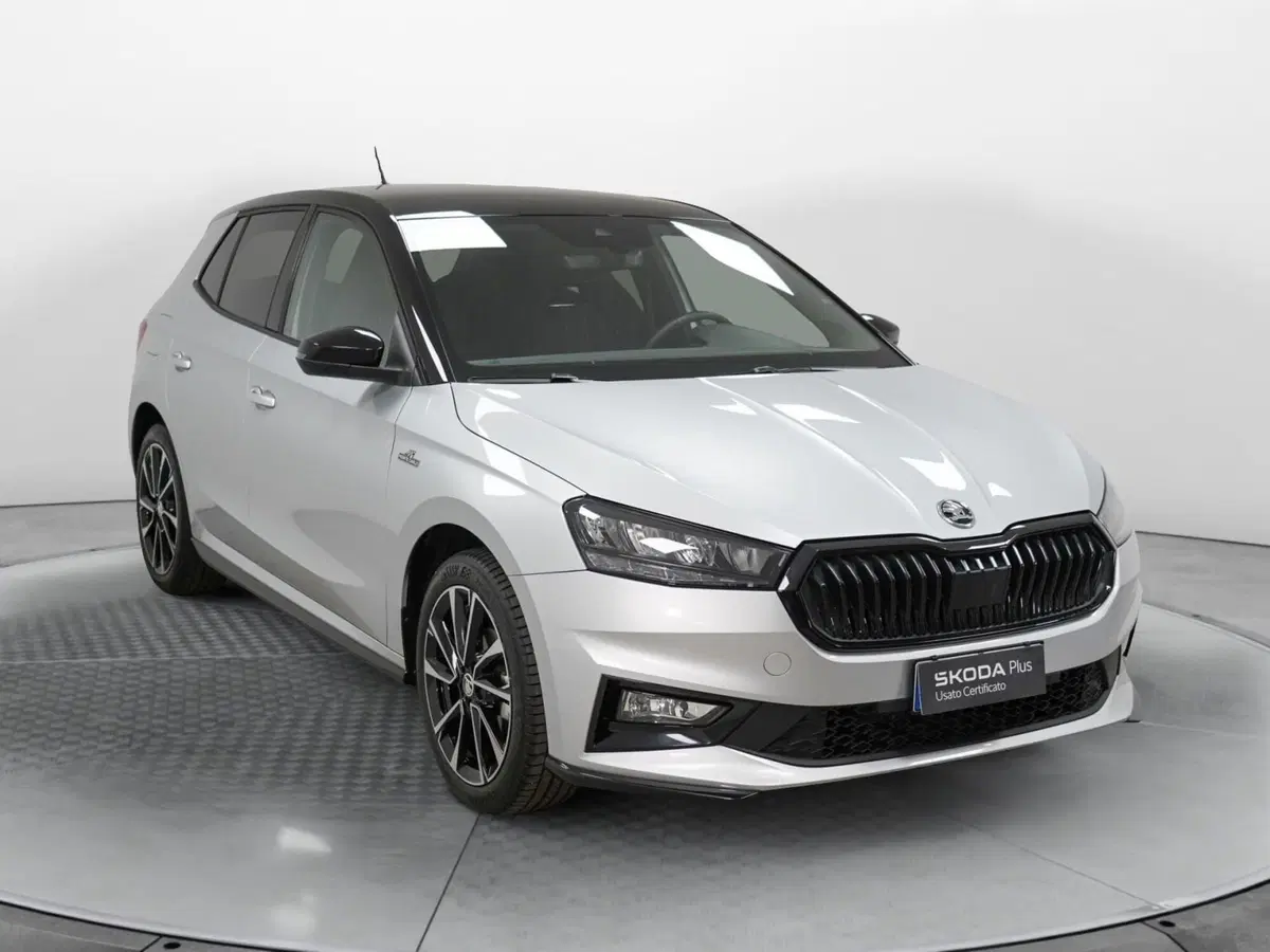 Skoda Fabia usata a Varese (3)