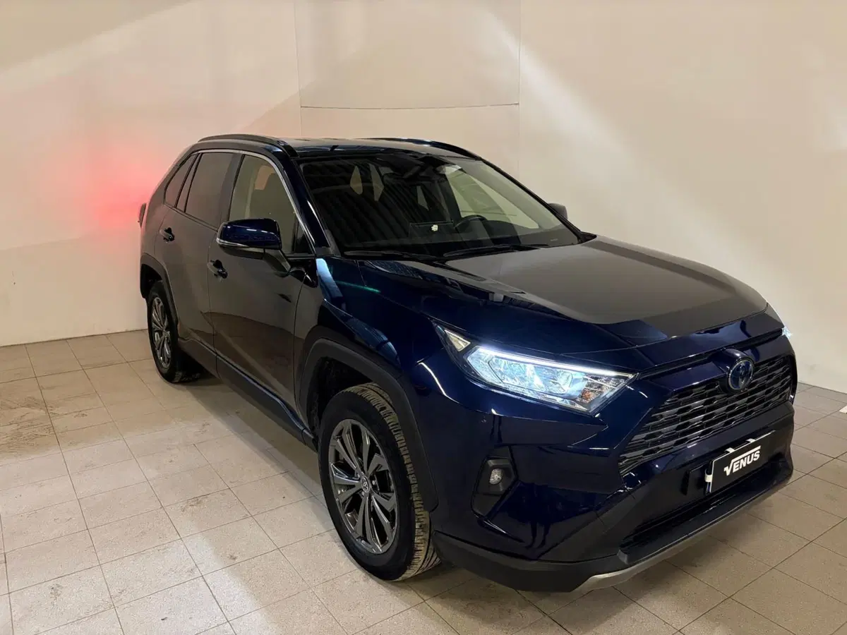 Toyota Rav4 usata a Monza e Brianza (19)