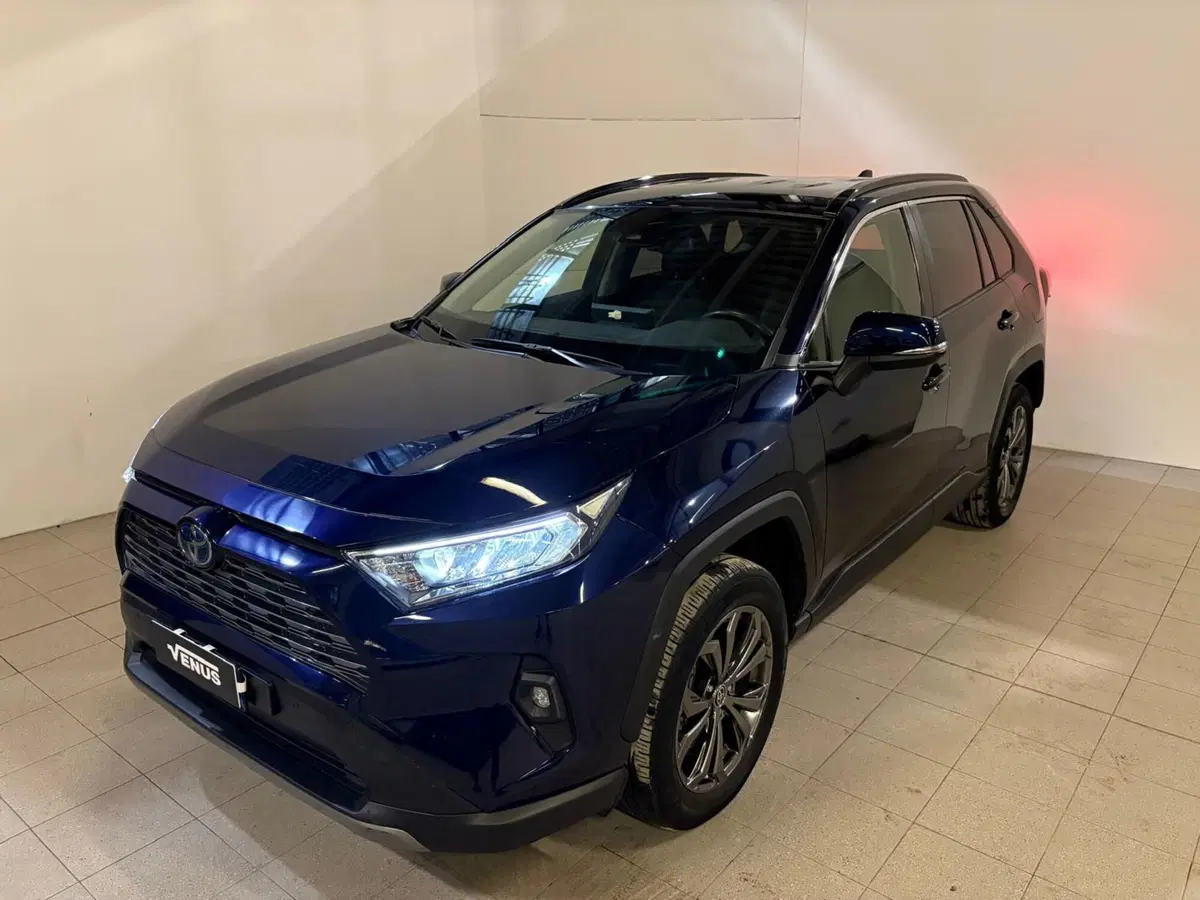 Toyota Rav4 usata a Monza e Brianza (2)