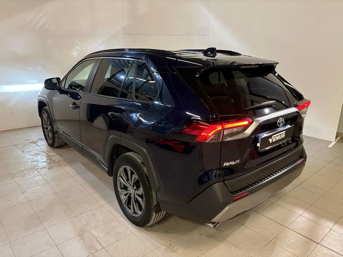 Toyota Rav4 usata a Monza e Brianza (4)