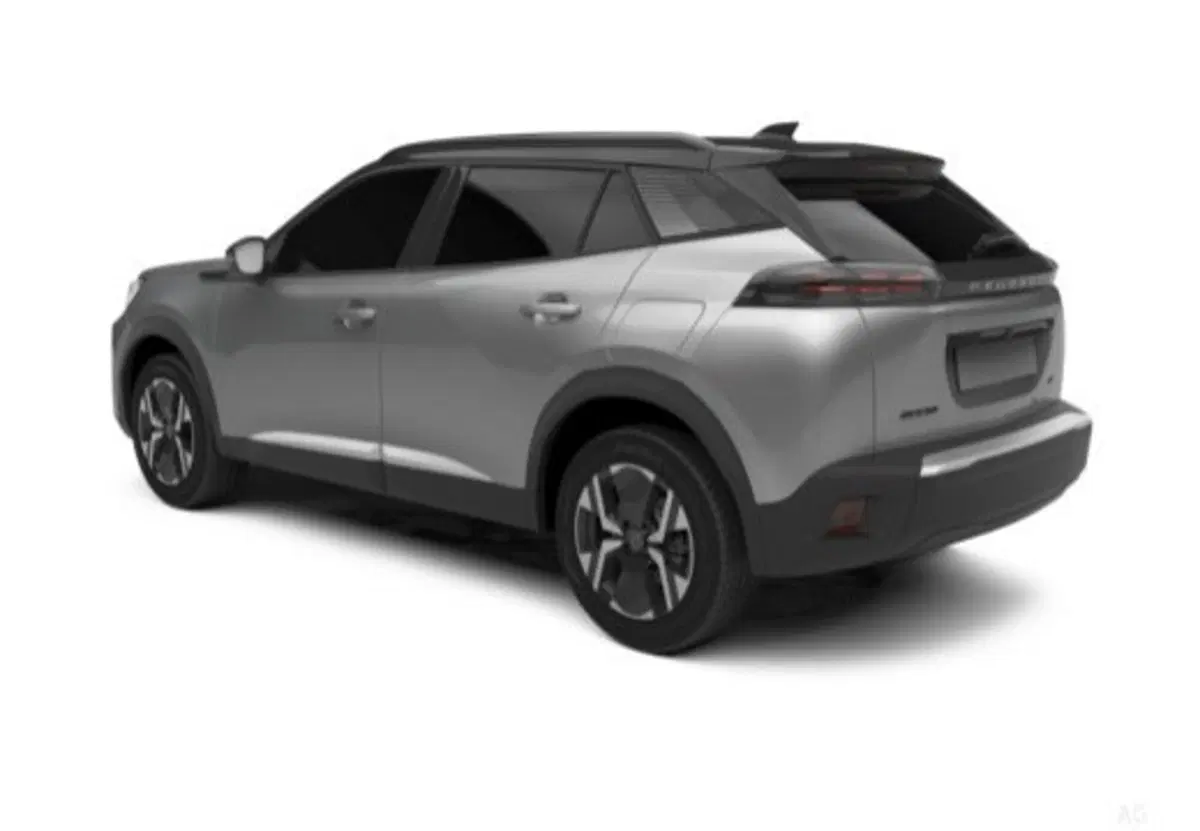 Peugeot 2008 usata a Salerno (5)