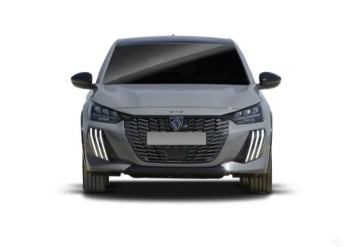 Peugeot 208 usata a Salerno (9)