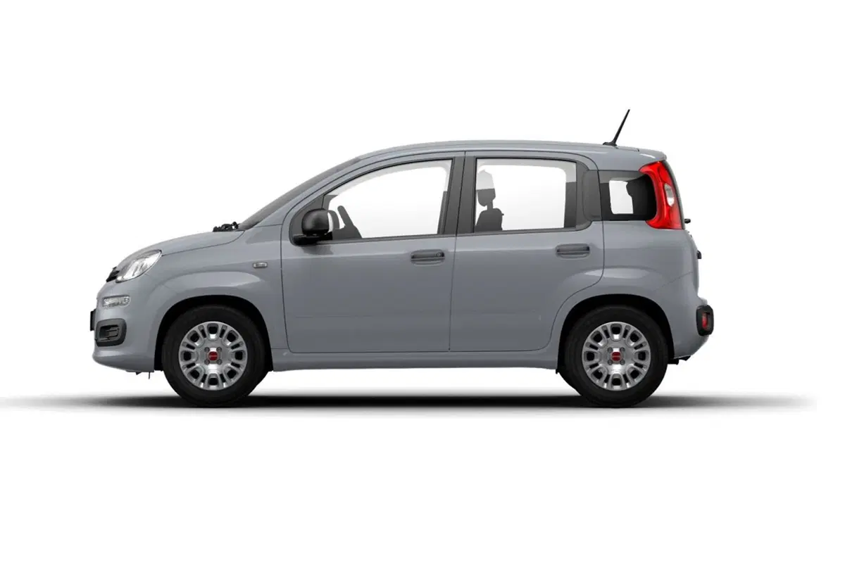 Fiat Panda Cross usata a Salerno (3)