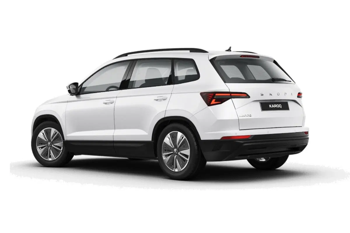 Skoda Karoq usata a Salerno (2)