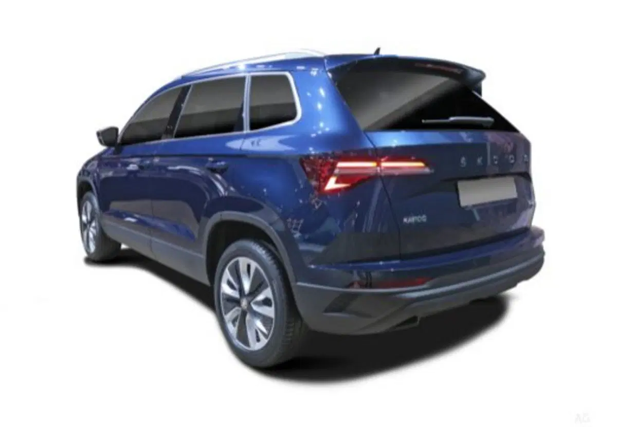 Skoda Karoq usata a Salerno (5)