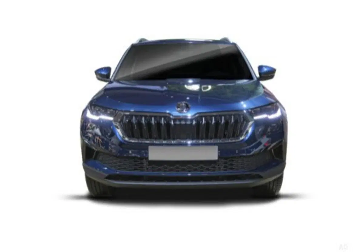 Skoda Karoq usata a Salerno (6)