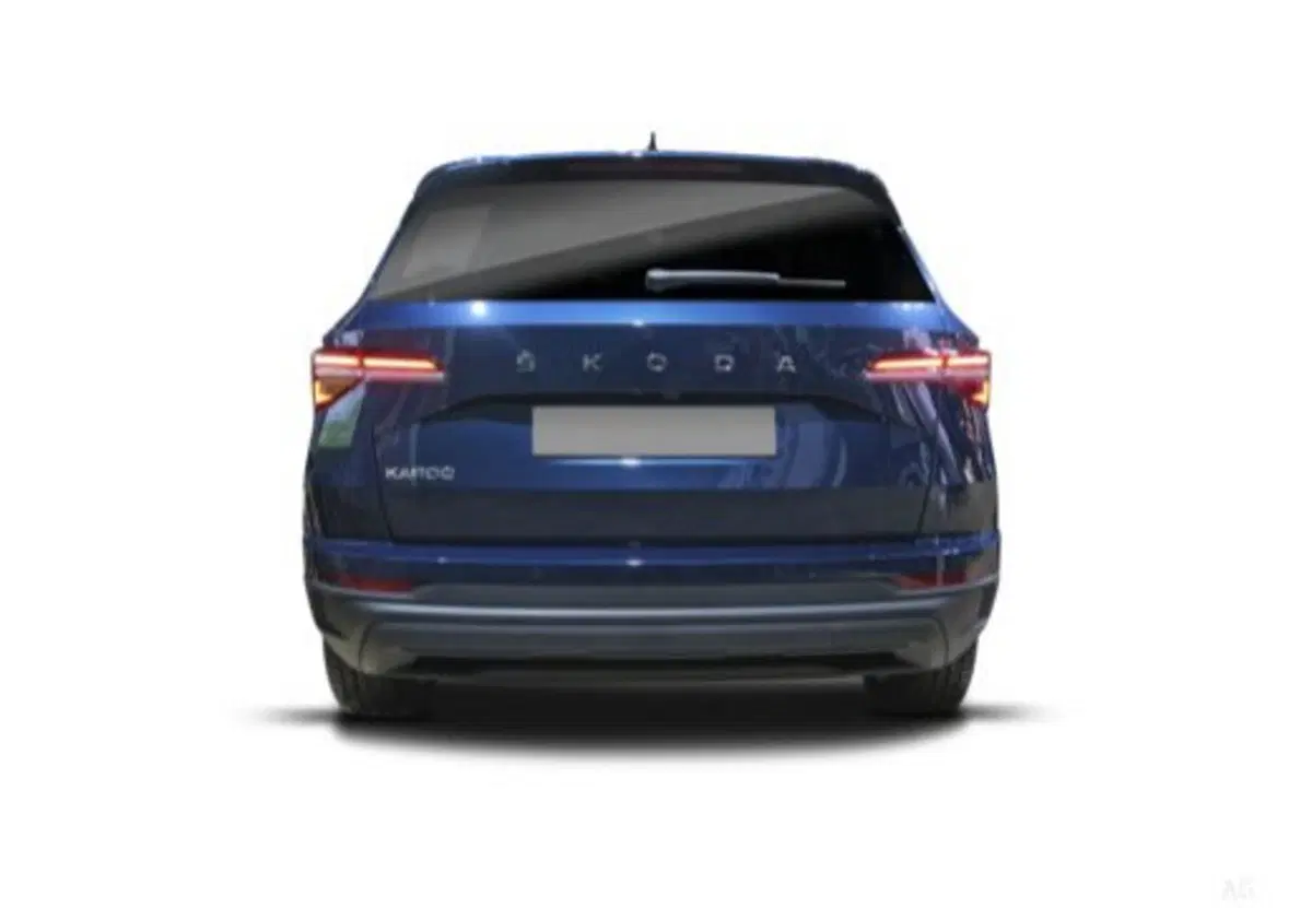 Skoda Karoq usata a Salerno (7)