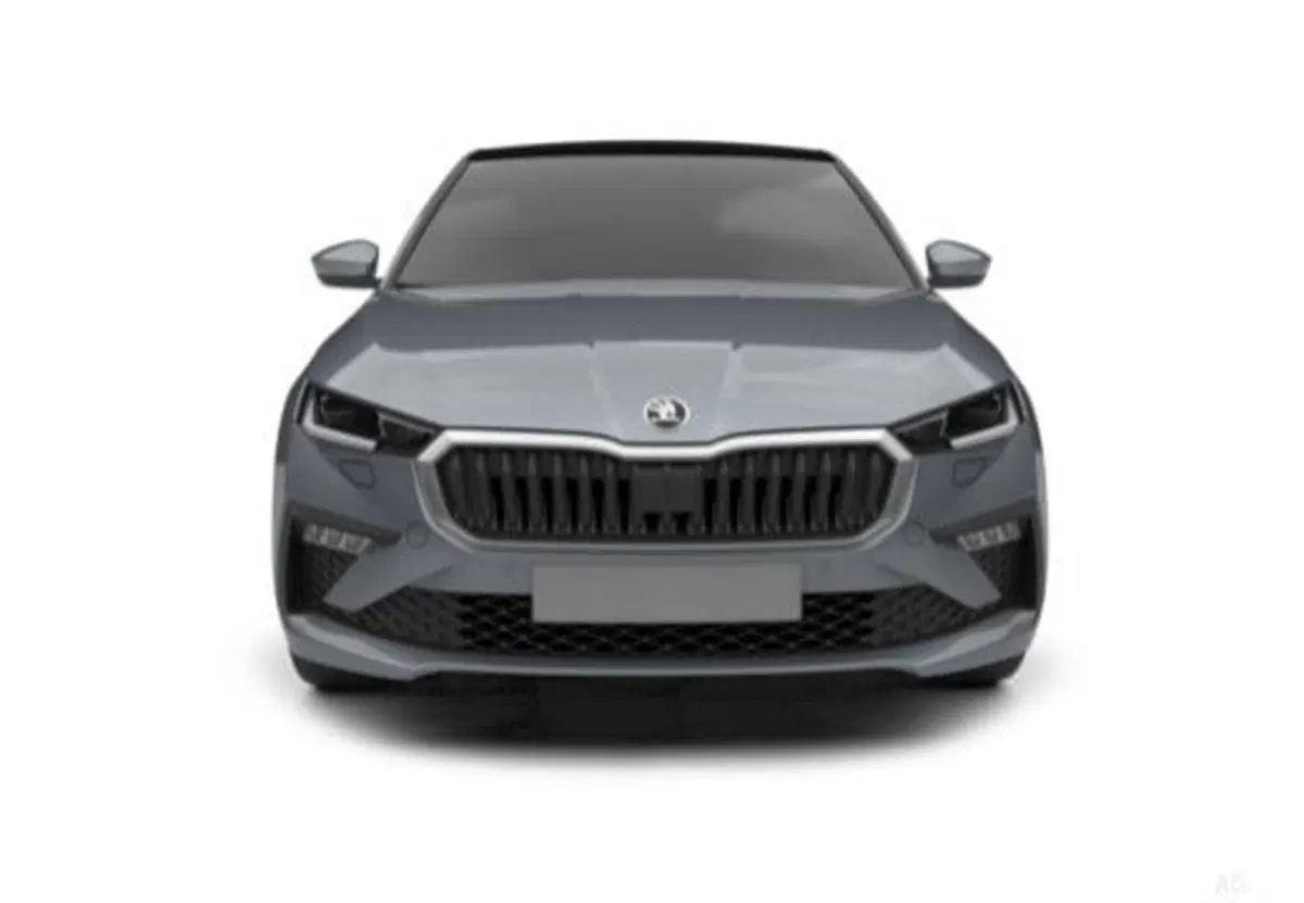 Skoda Scala usata a Salerno (7)