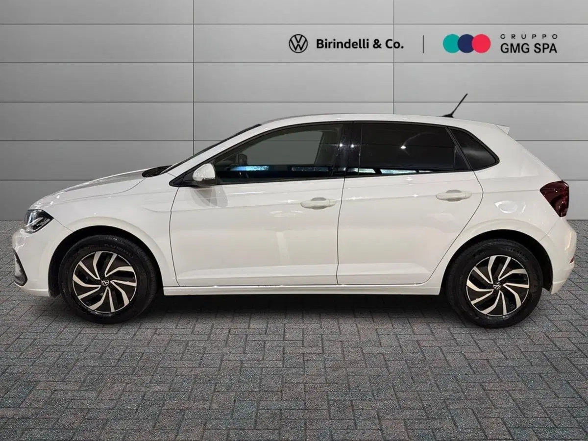 Volkswagen Polo usata a Firenze (5)