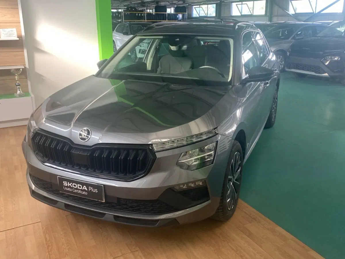 Skoda Kamiq usata a Reggio Calabria