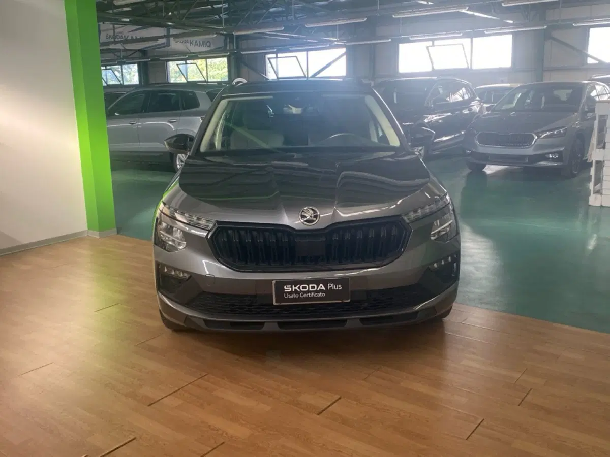 Skoda Kamiq usata a Reggio Calabria (2)
