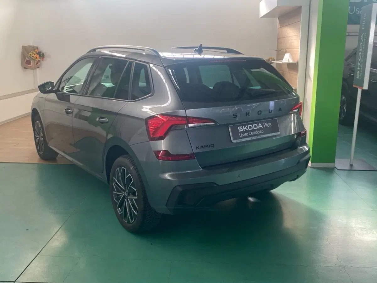 Skoda Kamiq usata a Reggio Calabria (7)