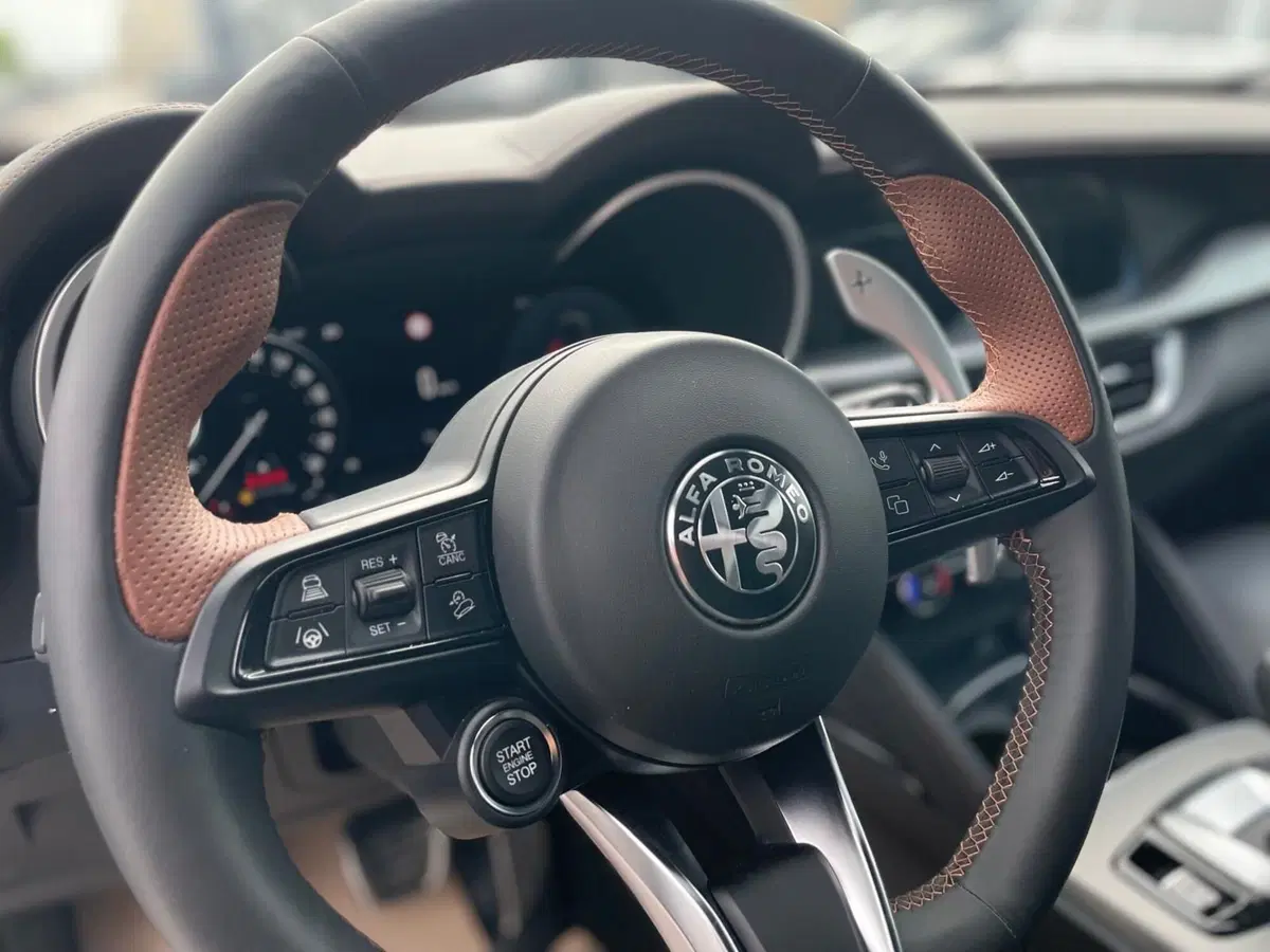 Alfa Romeo Stelvio usata a Ancona (13)