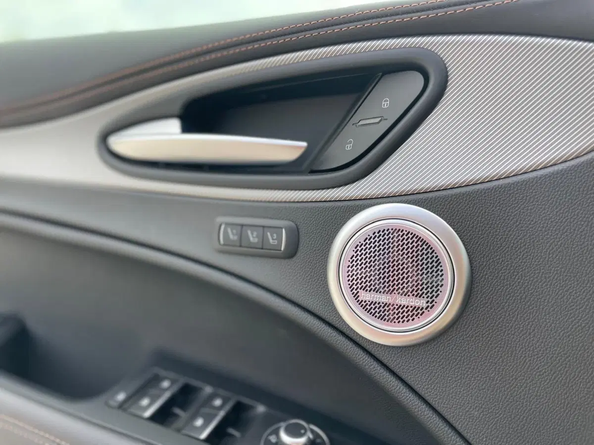Alfa Romeo Stelvio usata a Ancona (14)