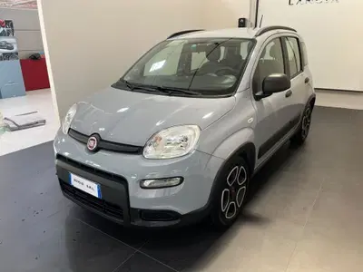 Fiat Panda 1.0 FireFly S&amp;S Hybrid City Cross del 2021 usata a Altopascio