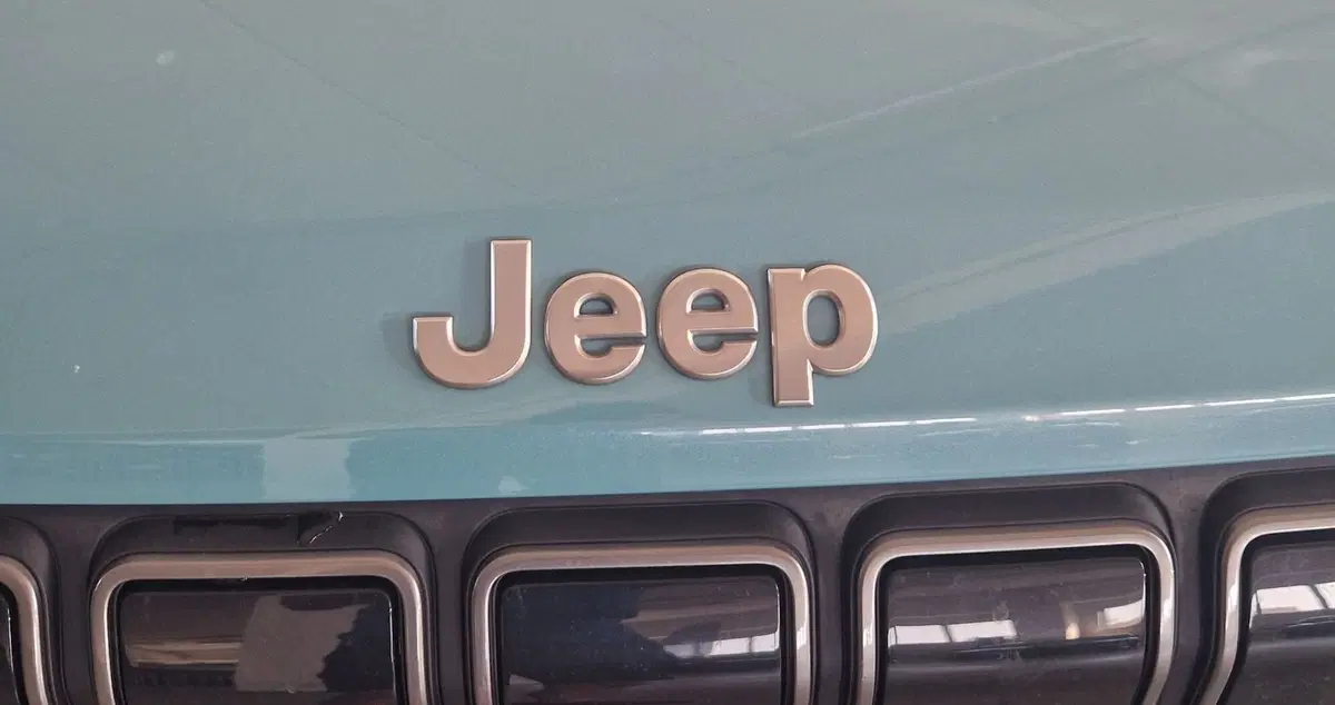 Jeep Avenger usata a Terni (20)