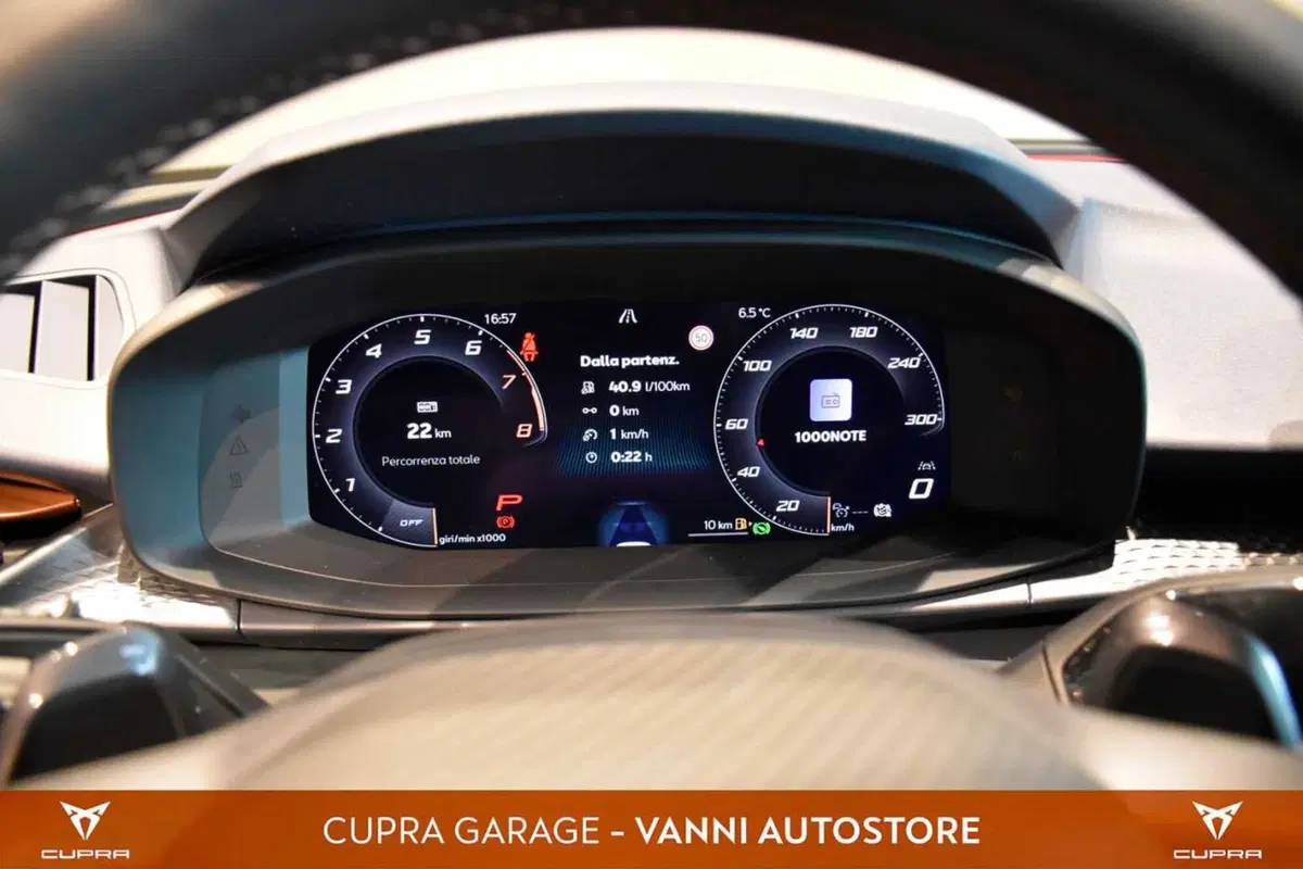 Cupra Terramar usata a Verona (11)