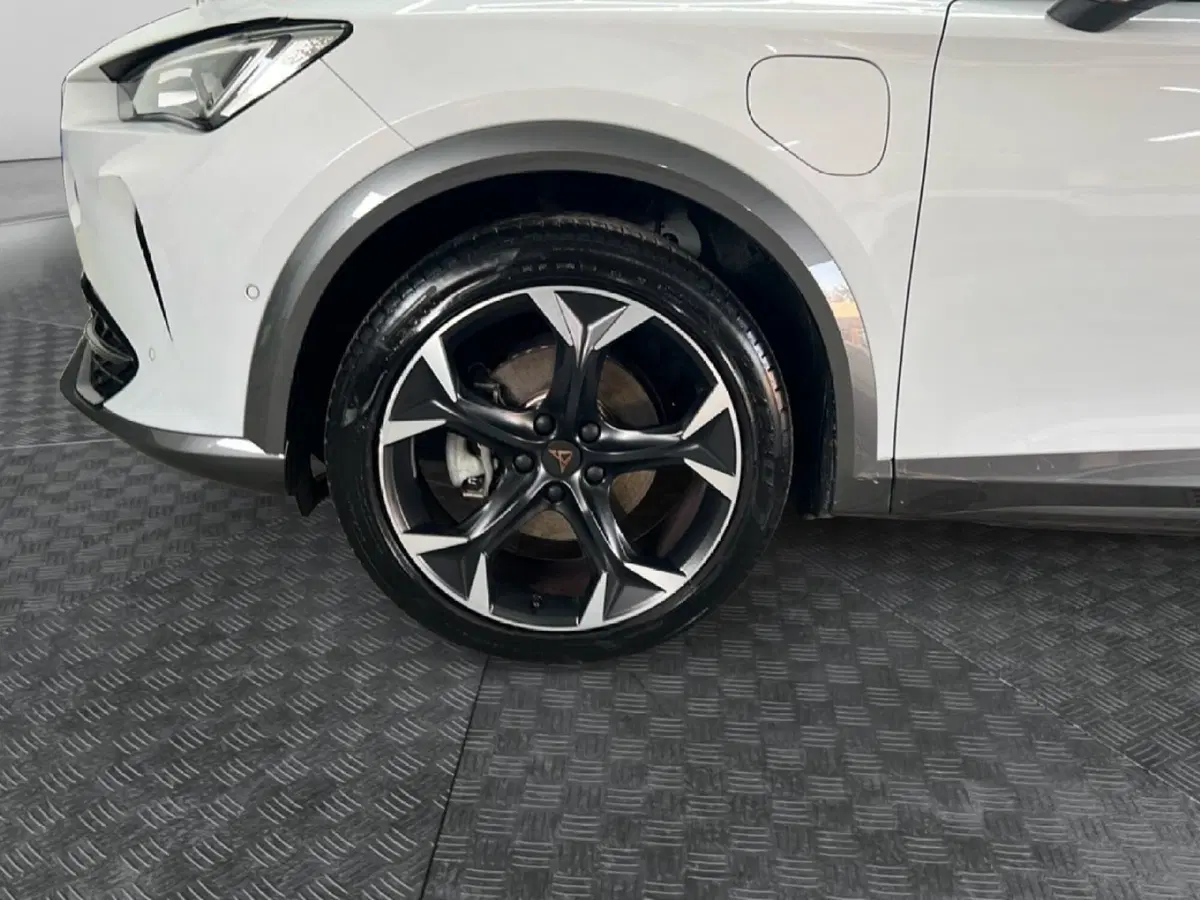 Cupra Formentor usata a Roma (9)