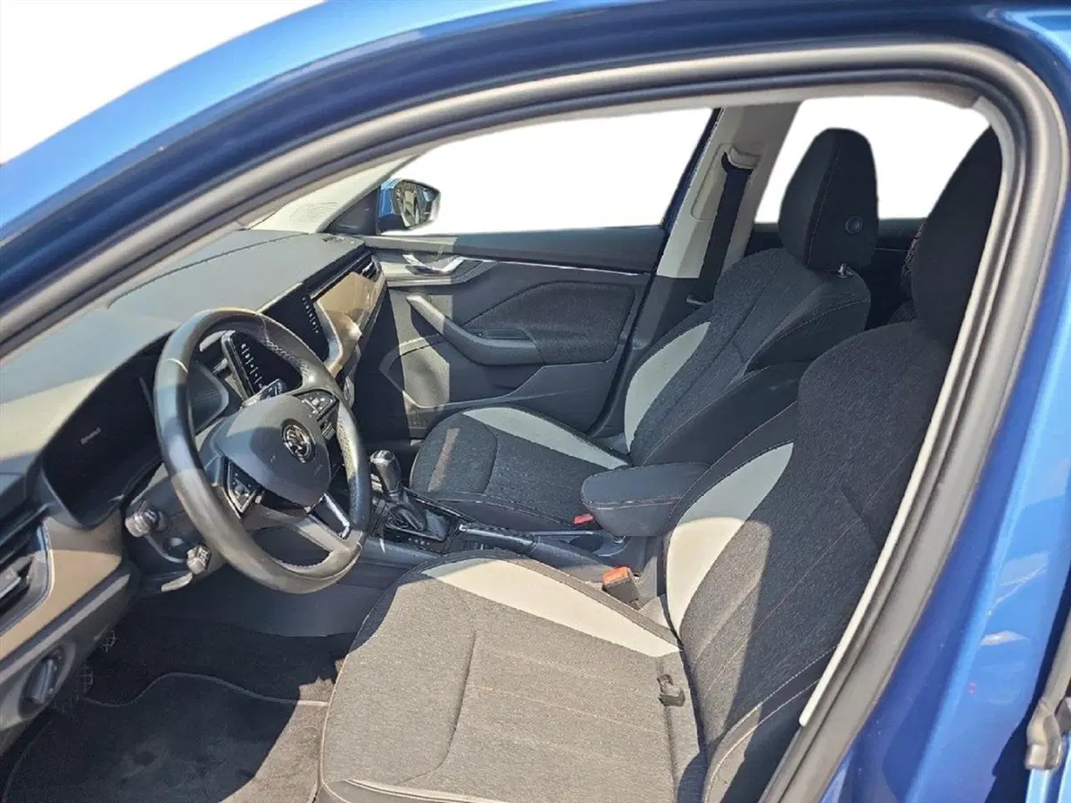 Skoda Kamiq usata a Lecco (10)
