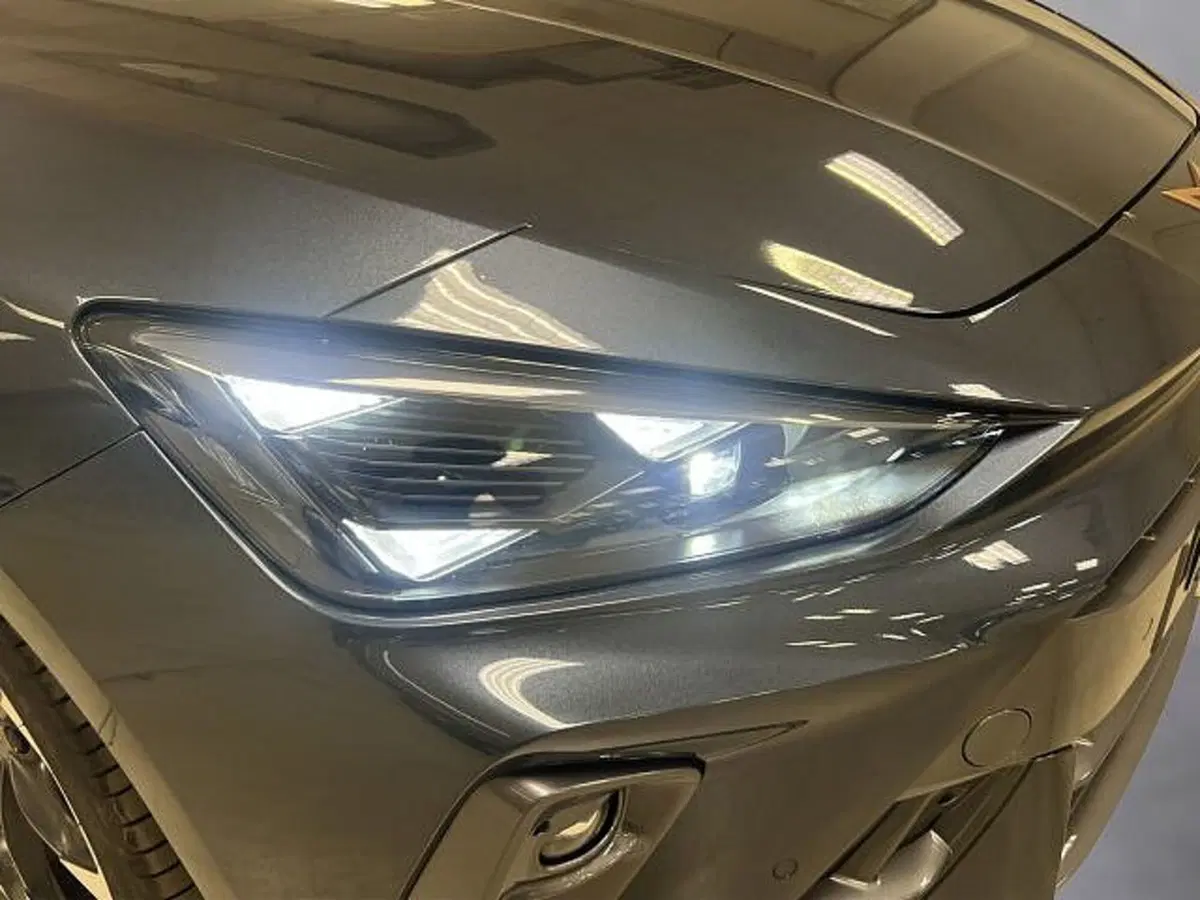 Cupra Leon usata a Vicenza (19)