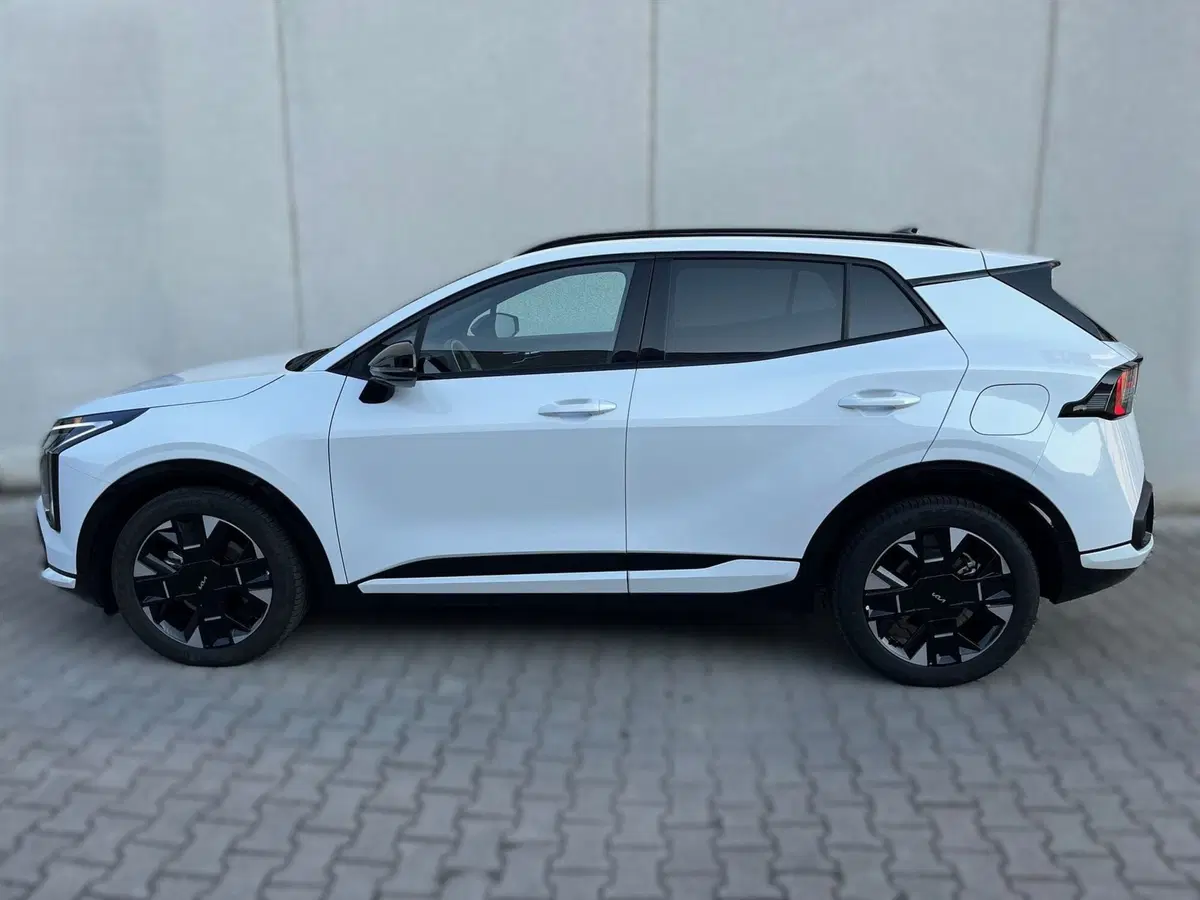 Kia Sportage usata a Ferrara (3)