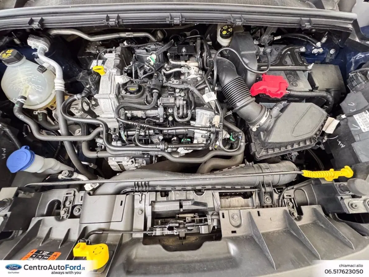 Ford Puma usata a Roma (11)