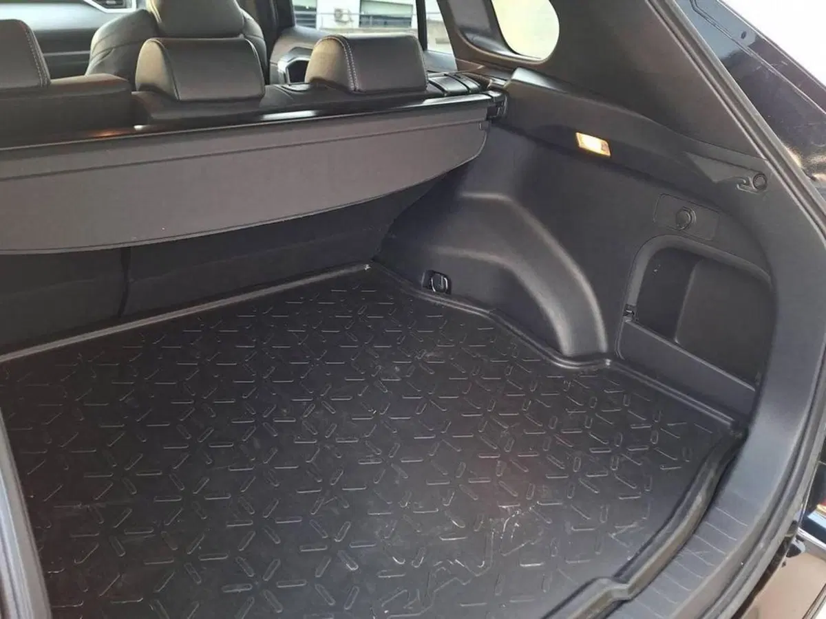 Toyota Rav4 usata a Torino (13)