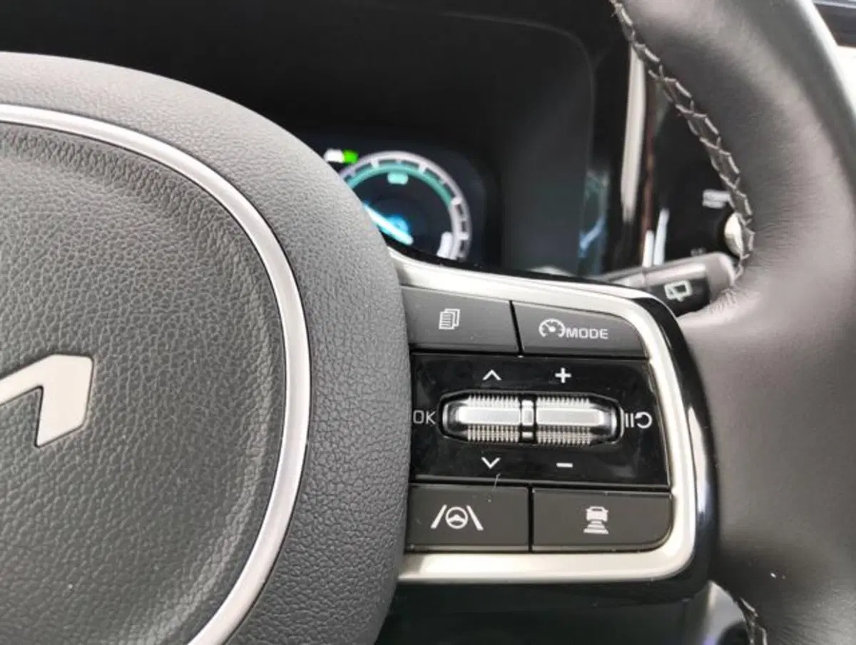 Kia Sorento usata a Como (11)