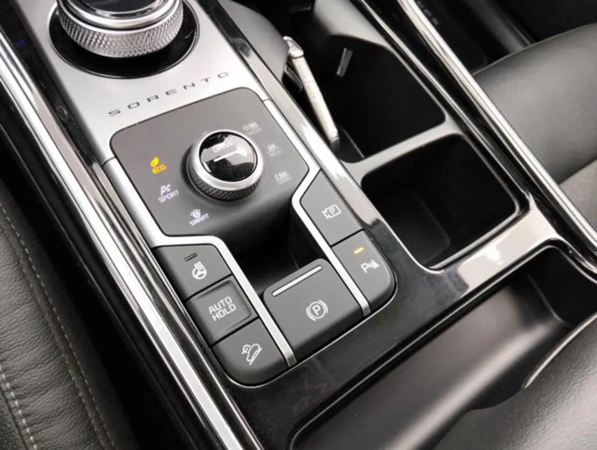 Kia Sorento usata a Como (20)