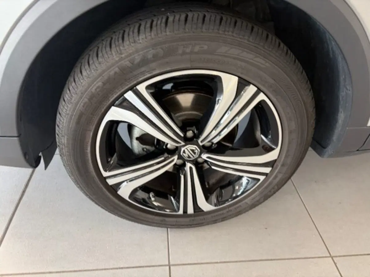 Mg ZS usata a Cuneo (18)