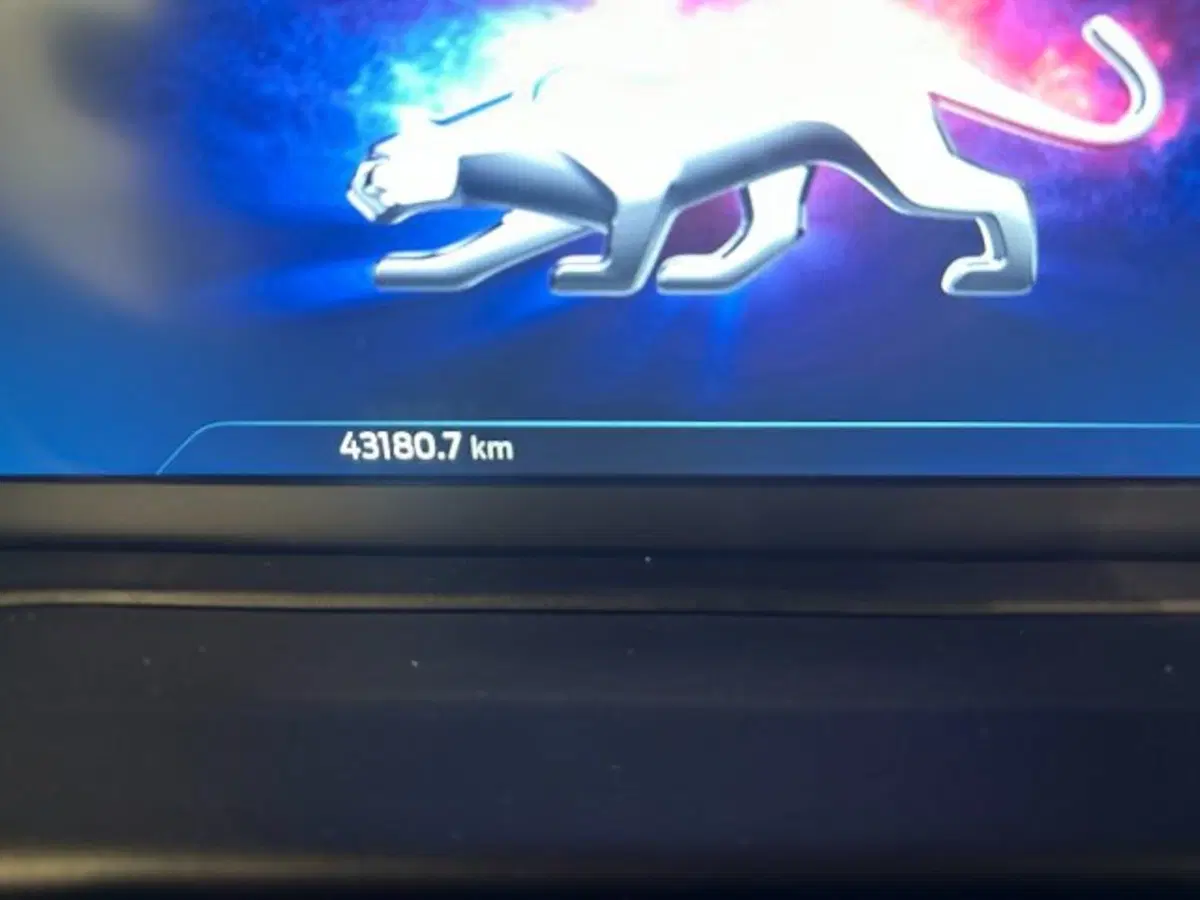 Ford Puma usata a Cuneo (17)