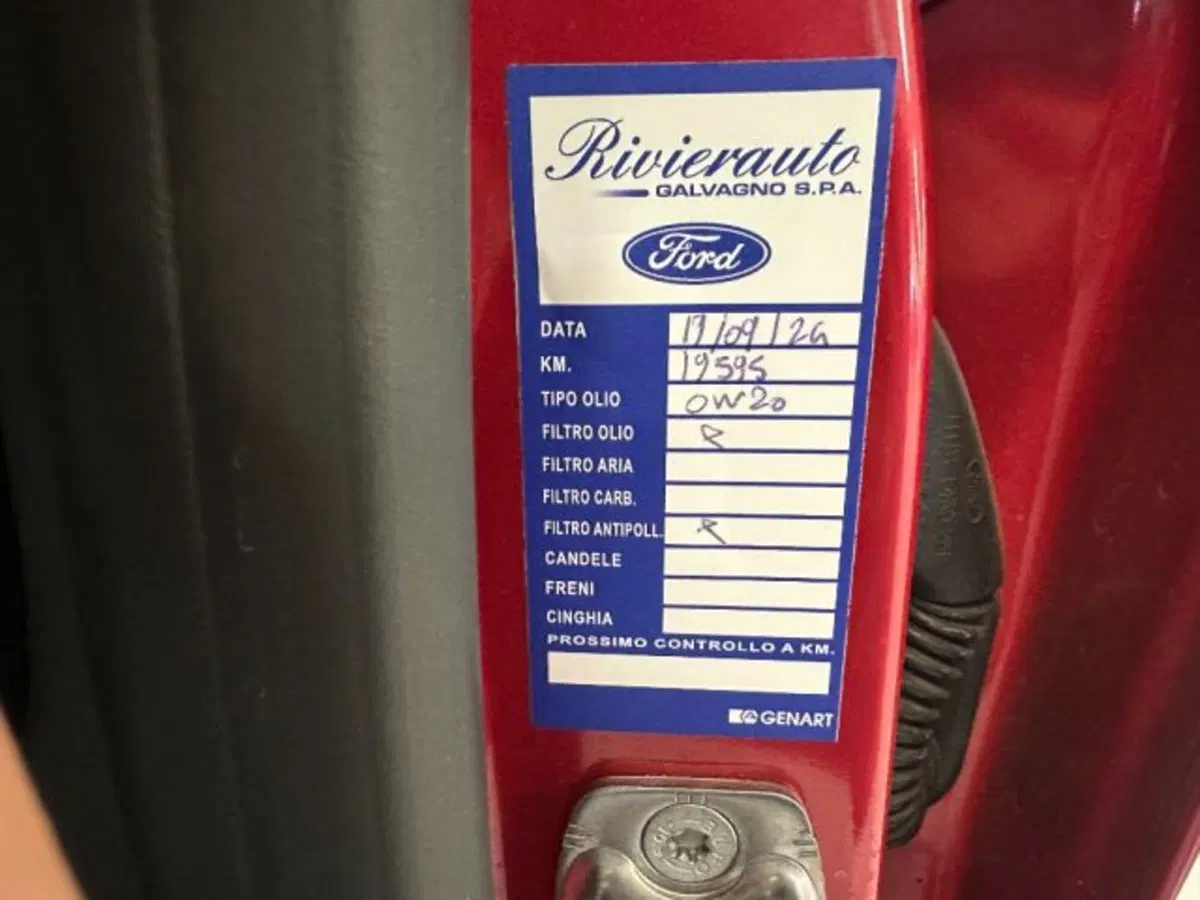 Ford Puma usata a Cuneo (18)
