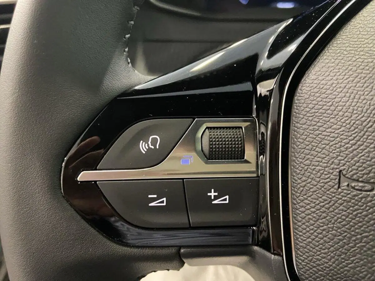 Peugeot 2008 nuova a Torino (12)