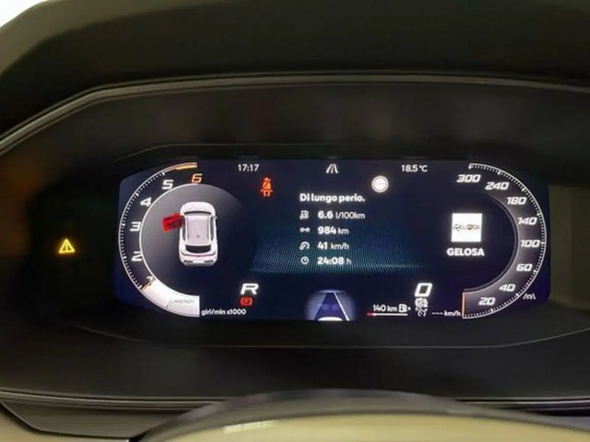 Cupra Formentor usata a Vicenza (15)