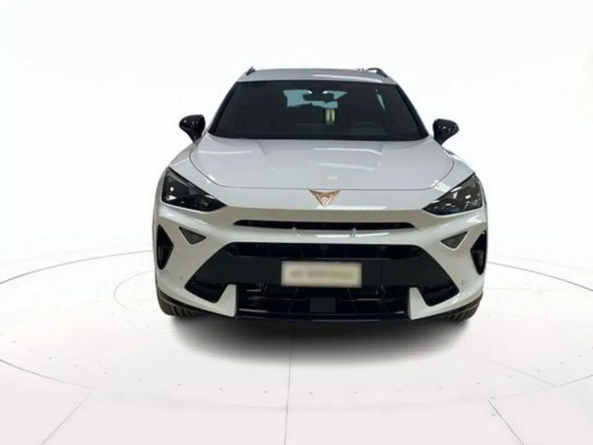 Cupra Formentor usata a Vicenza (2)