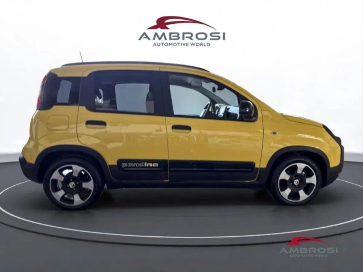Fiat Panda usata a Perugia (5)