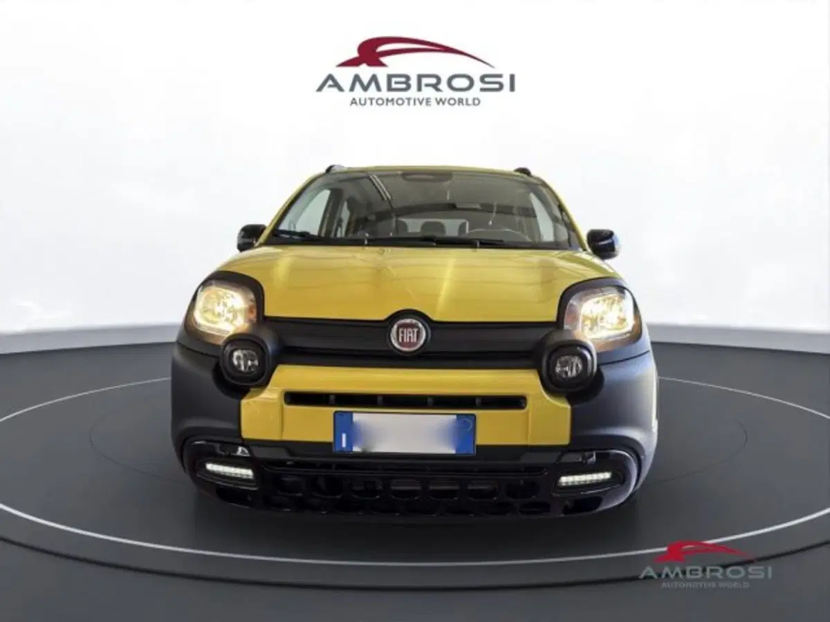 Fiat Panda usata a Perugia (7)