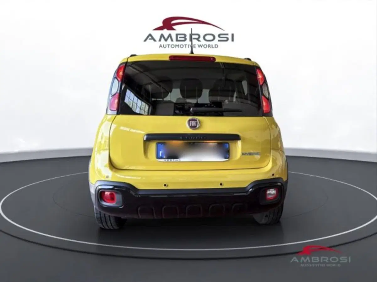 Fiat Panda usata a Perugia (8)